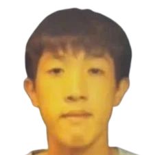 Logo Pham La Hoang Anh